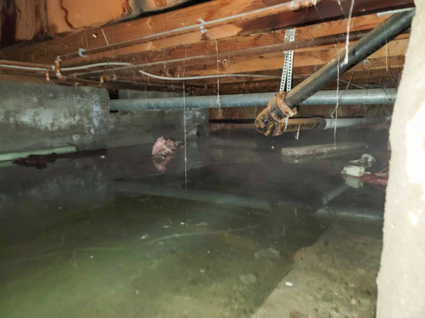 Water damage restoration process in CA