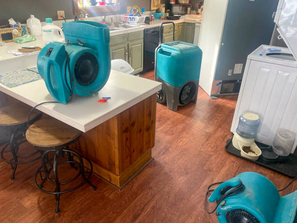Best Water damage contractors near me  in Big River, CA