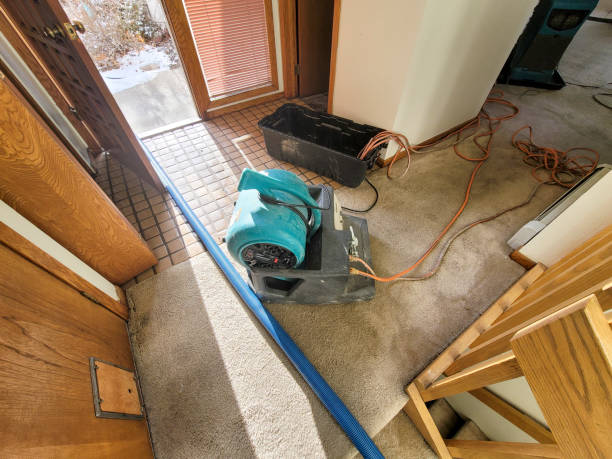Best Professional water damage repair  in Big River, CA