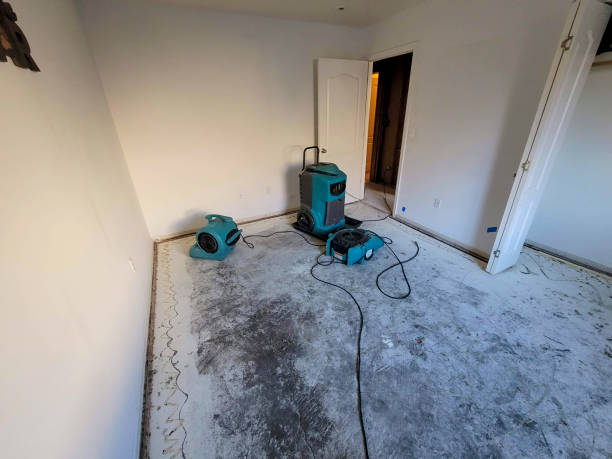 Best Fire Damage Restoration  in Big River, CA