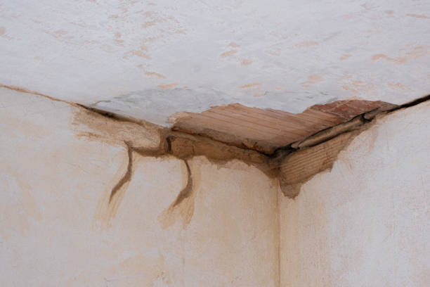 Best Flood restoration services  in Big River, CA