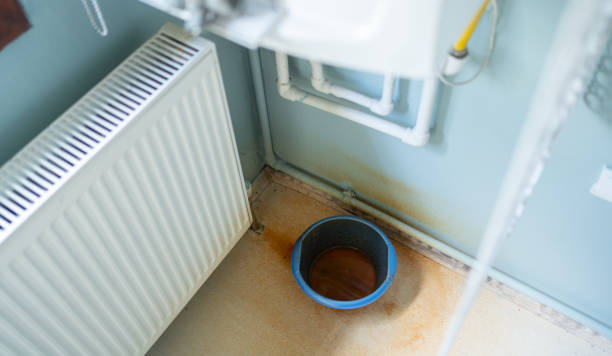Best Flood damage cleanup  in Big River, CA