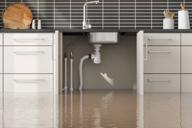 Reliable CA Water damage restoration Solutions