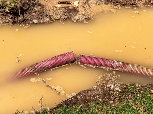 Best Emergency water damage restoration  in Big River, CA