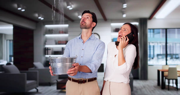  Big River, CA Water damage restoration Pros